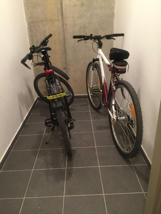 Apartman “U Nas V Podkrovi“ V Rezidenci Klostermann, Zelezna Ruda 24 Kültér fotó